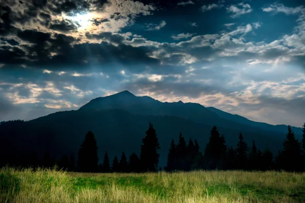 Green grass near mountain at night — Stock Photo, Image