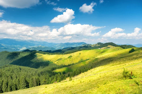 Vallée ensoleillée verte en montagne — Photo