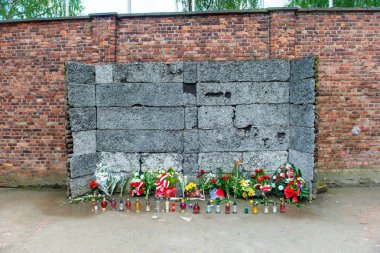 Auschwitz Ölüm Duvarı