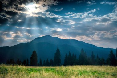 mountain yakınındaki yeşil çimen