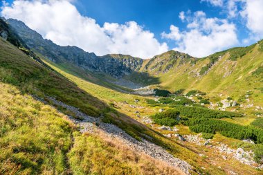 Güneşli Yeşil Dağları 