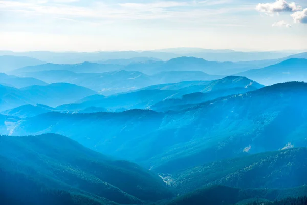 Forêt et nuages blancs sur le ciel — Photo