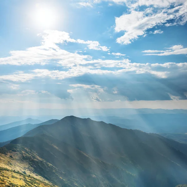 Bosque y nubes blancas en el cielo — Foto de Stock