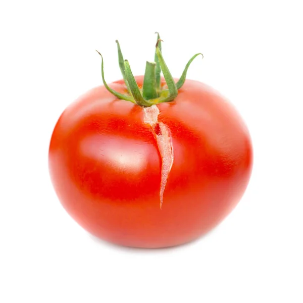 Red fresh tomato — Stock Photo, Image