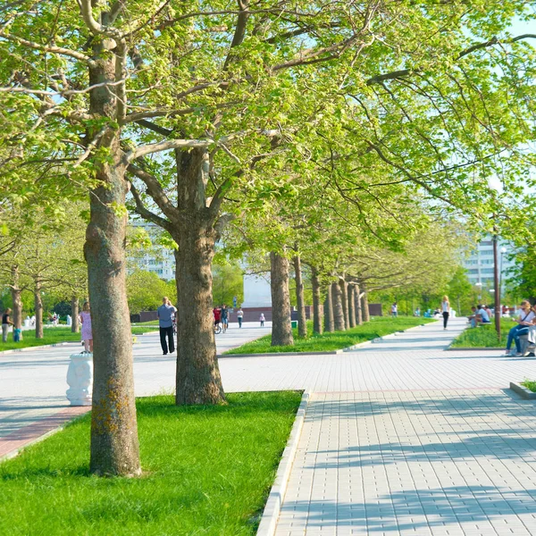 Allee im grünen Park — Stockfoto