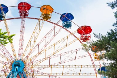 Dönme dolap yeşil park 