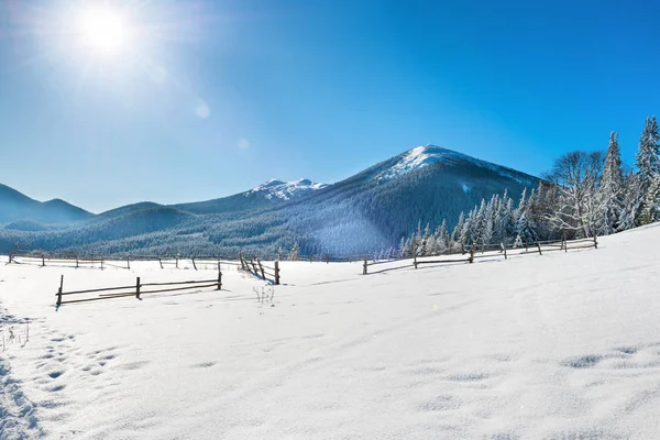 冬季景观与白场 — 图库照片