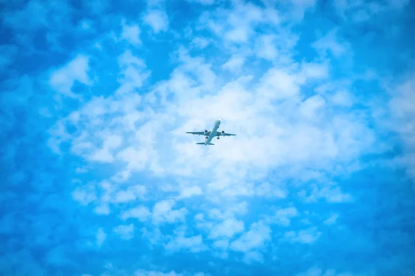 Et fly som flyr i himmelen – stockfoto