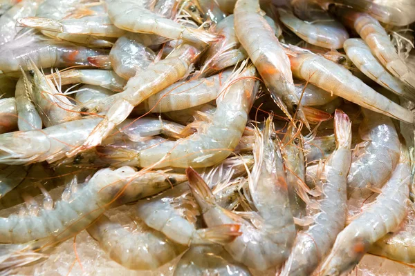 Pile of fresh uncooked prawns Stock Image