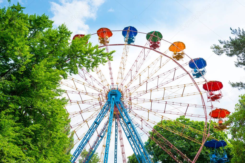 Ferris wheel in the green park 