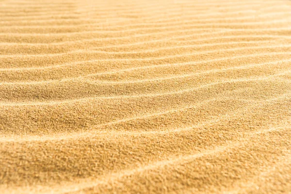 Písek textura na pláži — Stock fotografie
