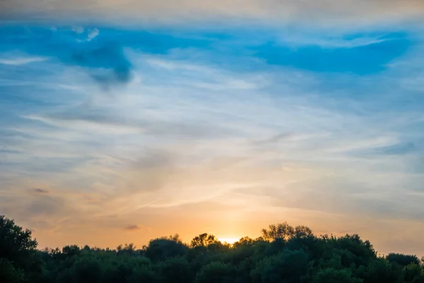 Pôr do sol sobre a silhueta da floresta — Fotografia de Stock