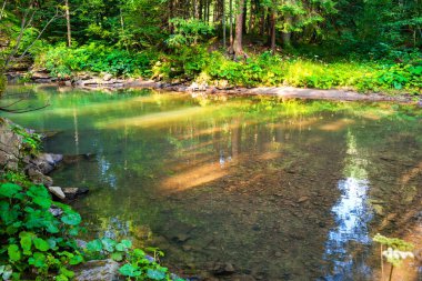 Yeşil ağaçlarıyla çevrili büyük nehir