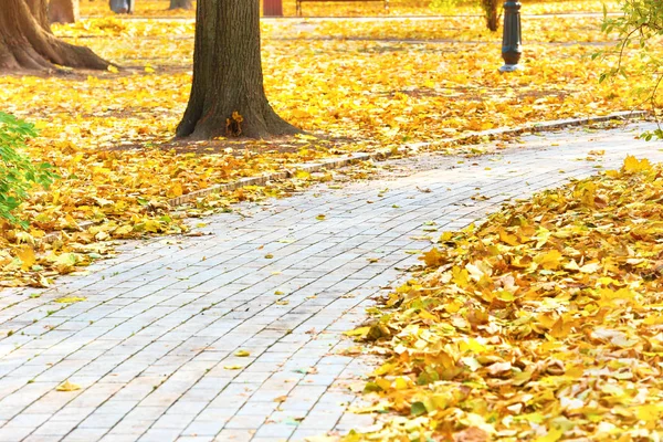 Ścieżka w jesień park miejski — Zdjęcie stockowe