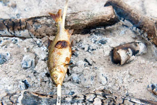 Pescado a la parrilla en llamas —  Fotos de Stock