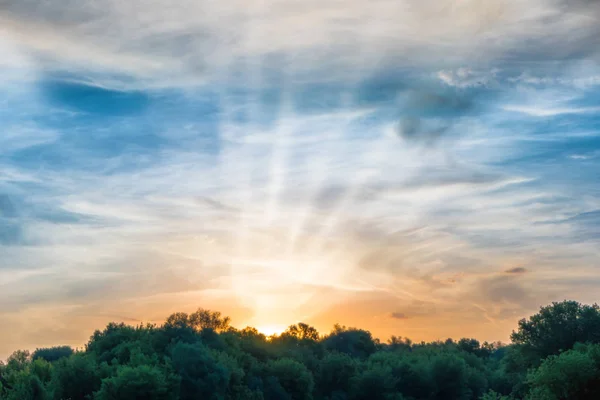 Puesta de sol sobre el bosque caducifolio — Foto de Stock