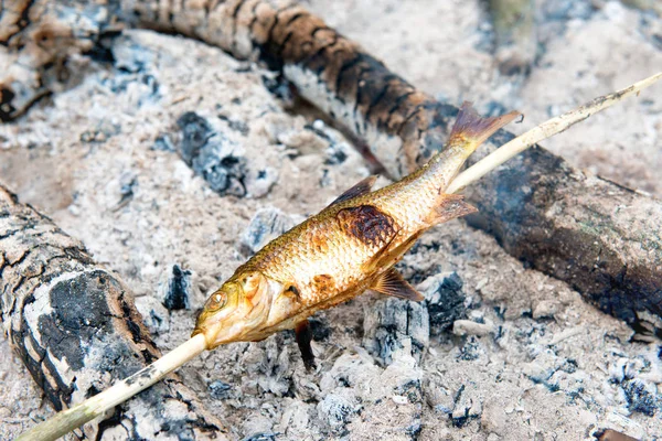 Grilované ryby v plamenech — Stock fotografie