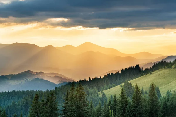 Çam ormanı ile sıra dağlar 