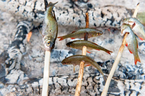 Pescados a la parrilla con palos en llamas —  Fotos de Stock