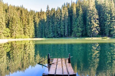 Göl kenarında ahşap köprü 