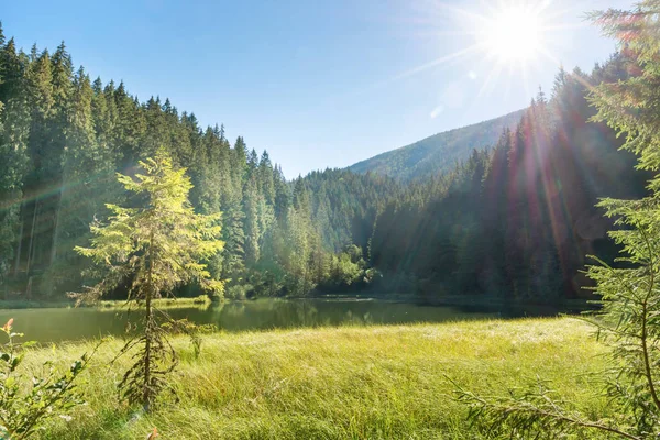 Hermoso lago de bosque en las montañas — Foto de Stock