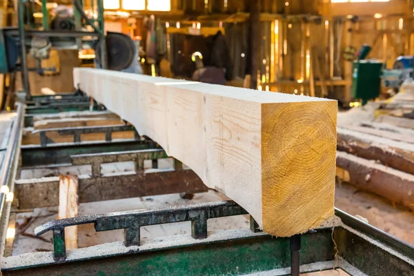 Baumstamm in Holzfabrik — Stockfoto