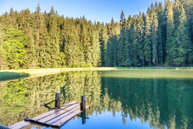 Dağlardaki orman gölü