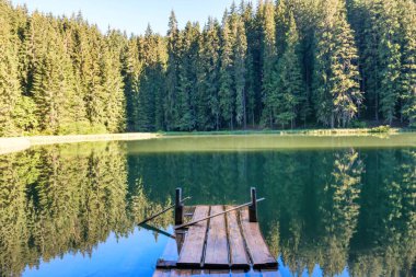 Dağlardaki orman gölü