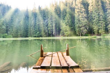 Dağlardaki orman gölü