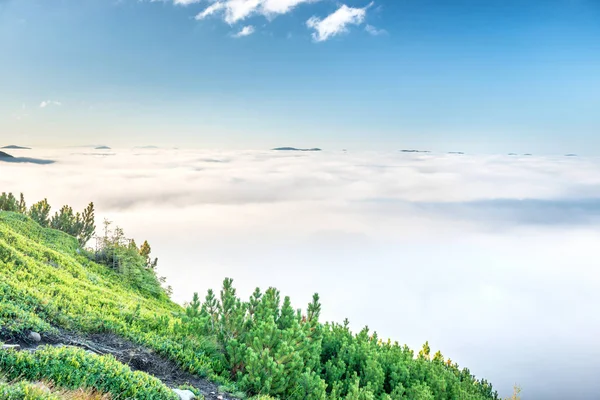 Montagne verdi tra le nuvole — Foto Stock