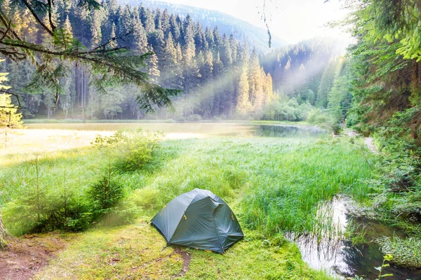 Lago di foresta in montagna — Foto Stock