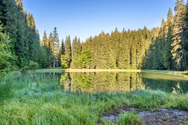 Lago del bosque en las montañas —  Fotos de Stock