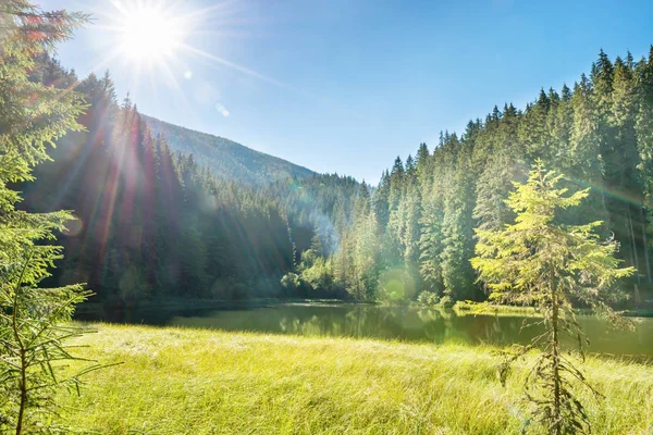 Dağlardaki orman gölü