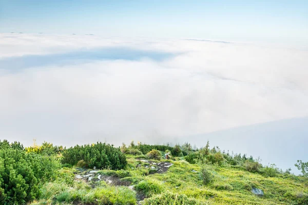 Montanhas verdes nas nuvens — Fotografia de Stock