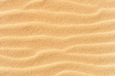 Kumsaldaki kum dokusu.