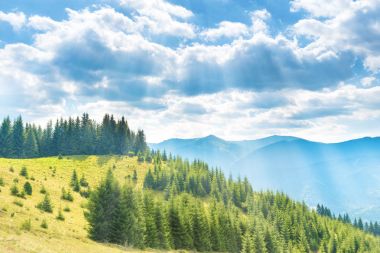 Orman mavi gökyüzü ve bulutlar ile yeşil tepelerde. Doğa manzara