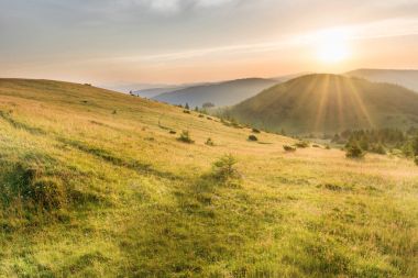 Orman, yeşil çim ve dramatik gökyüzü üzerinde parlayan güneş ile dağlarda günbatımı