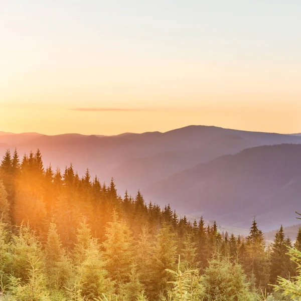 Puesta Sol Las Montañas Con Bosque Sol Brillante —  Fotos de Stock