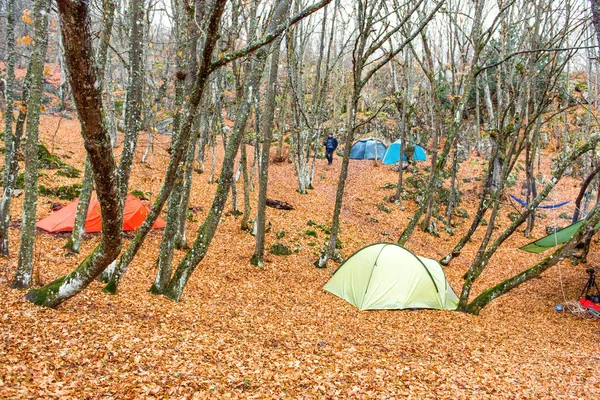 落ち葉で秋の森色テントとキャンプします — ストック写真