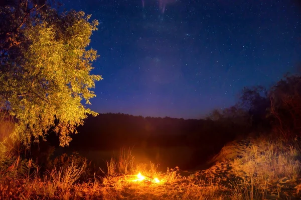 夜の星と夜空の下で森林の火災します — ストック写真