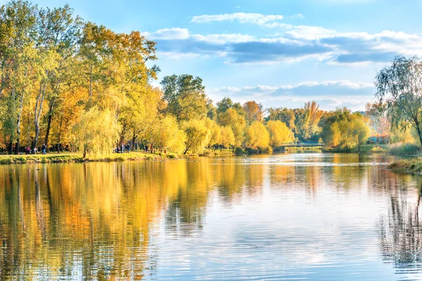 Nsanların Yürüme Ile Sonbahar Şehir Parkı Kuş Ile Göl — Stok fotoğraf