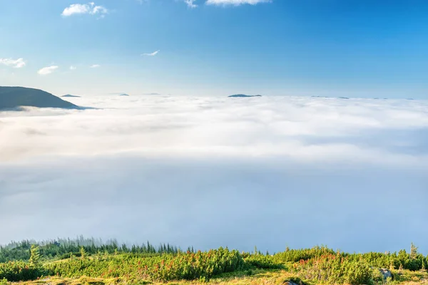 Montanhas Verdes Nas Nuvens Vista Paisagem Colinas Verdes Nevoeiro Pôr — Fotografia de Stock