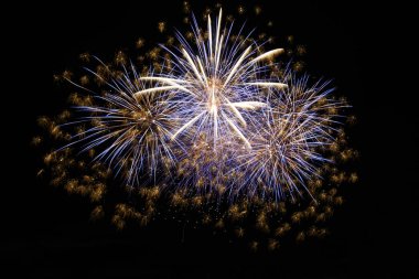 Tatil fireworks gece gökyüzü siyah
