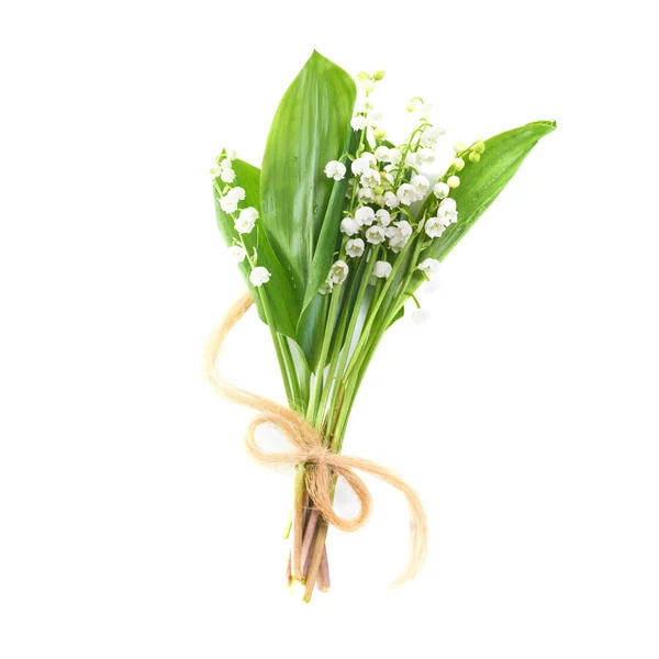 Convallaria Flowers Known Lilies Valley Isolated White — Stock Photo, Image