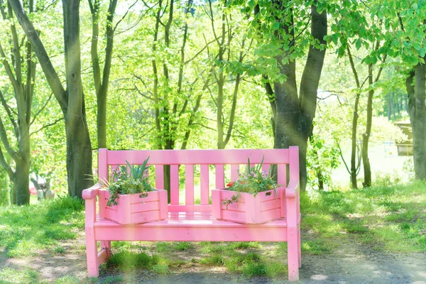 Roze Bankje Met Bloemen Het Groene Park — Stockfoto