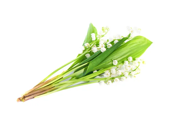 Convallaria Flores Conocidas Como Lirios Del Valle Aislados Blanco — Foto de Stock