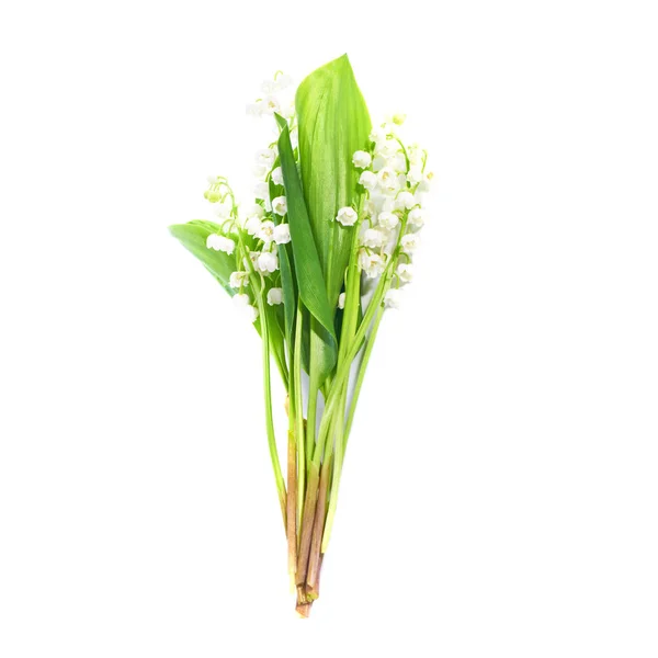 Convallaria Flores Conocidas Como Lirios Del Valle Aislados Blanco — Foto de Stock