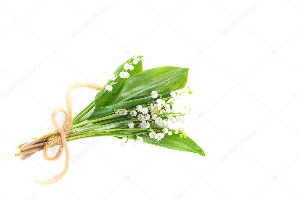 Convallaria flowers known as lilies of the valley isolated on white