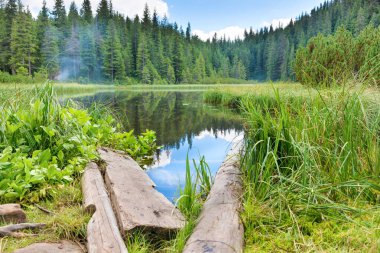 Mavi sudaki ahşap köprü Çam ağaçlarıyla dolu bir orman gölünde