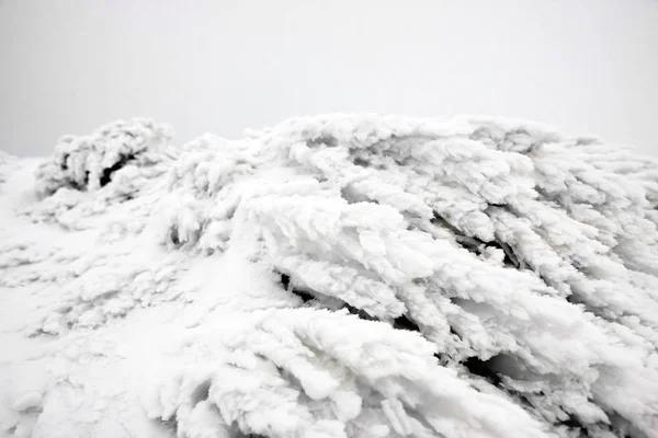 Gras Blauem Eis Und Schnee Nahaufnahme Vom Winter — Stockfoto